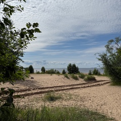 Анна Лицкевич, Санкт-Петербург