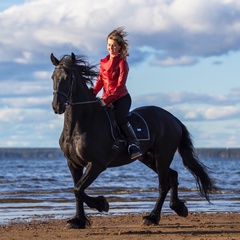 Екатерина Алексеева, 36 лет, Санкт-Петербург