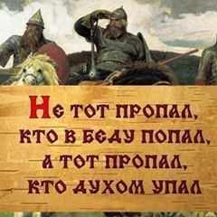 Виталий Чертов, Троицк