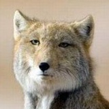 Владислав Пасюк, Новороссийск