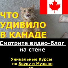 Андрей Зелено, Winnipeg