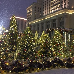 Анна Алексеева, Москва