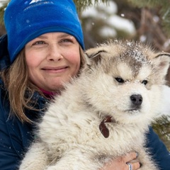 Евгения Шелестова, 44 года, Железногорск