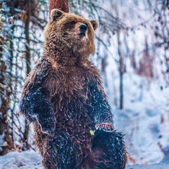 Павел Сухорадо, 35 лет, Москва