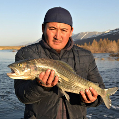 Тилеубек Нурахмет, 36 лет, Москва