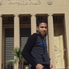 Essam Hamed, 31 год, Alexandria