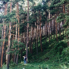 Асель Сакенова, Алматы