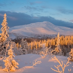 Фанис Аглямович, Чебоксары