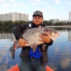 Илья Курнавкин, 32 года, Москва