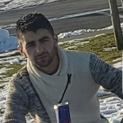 Aram Karapetyan, Trier