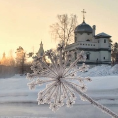 Ольга Ефимцева