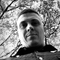 Vladimir Besov