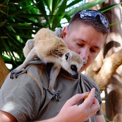 Евгений Кот, 45 лет, Гомель