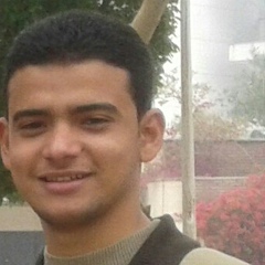 Ahmed Eid, 29 лет, Cairo