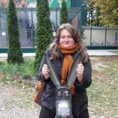 Антонина Косарева, 37 лет, Харьков