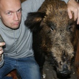 Дмитрий Шишкин, 42 года, Москва