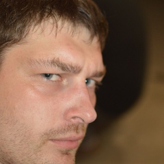 Денис Ерлин, 37 лет, Новосибирск