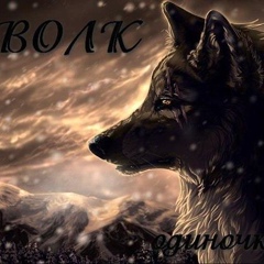 Алексей Прасолов, 40 лет, Орёл