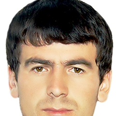 Ибрагим Атаев, 40 лет, Камышин