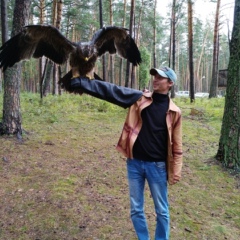 Александр Ларкин, 41 год, Новосибирск