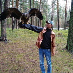 Александр Ларкин, 41 год, Новосибирск