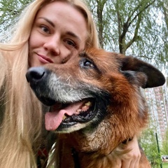 Частный Шелтер Дом Драконов