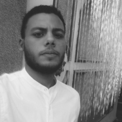 Wessam Mohamed, 30 лет, Alexandria