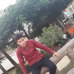 Mahmoud Sarhan, 31 год, Cairo