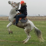 Ильяс Мухамеджан, 44 года, Алматы