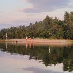 Елена Лянник, Москва