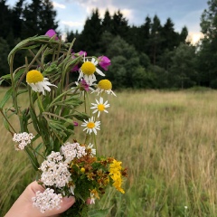 Алена Кузнецова, Челябинск