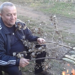 Алексей Дзыговский, 60 лет, Винница