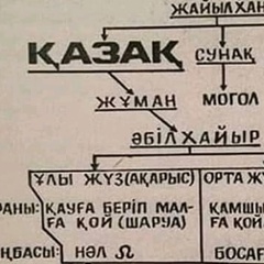 Нурлыбек Тасбулатов, Шымкент