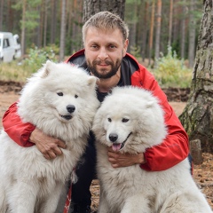 Дмитрий Шолохов, Санкт-Петербург