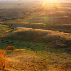 Ильшат Гатауллин