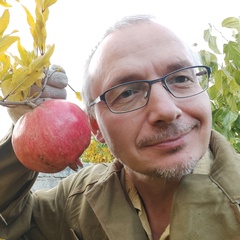 Дмитрий Лазарев, 51 год, Севастополь