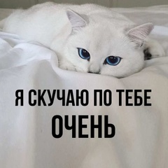 Константин Шамгулов, 33 года, Москва