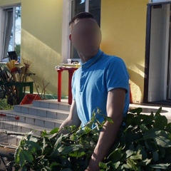 Михаил Михаилов, Санкт-Петербург
