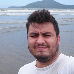 Carlos Goes, 38 лет, Marília