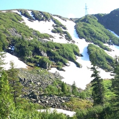 Евгения Кузнецова, Новосибирск