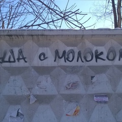 Александр Раков, Казань
