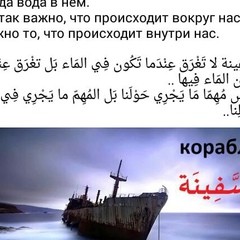 Мирза Мугутдинов, 35 лет, Кизилюрт