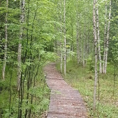 Елена Семёнова, Белый Яр