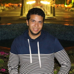 Mohamed Bakr, 34 года, Giza