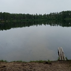 Роман Журавлев, Санкт-Петербург