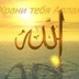 Тут Мусульмане, 32 года, Москва