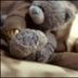Teddy Doll