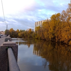 Ольга Низовец, Санкт-Петербург