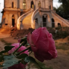 Константин Назаров, Москва