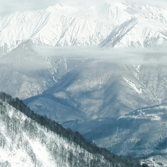 Дмитрий Казначеев, Москва